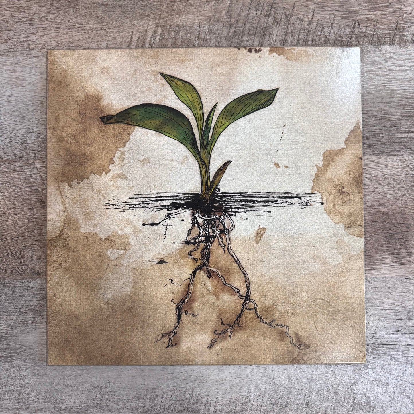 Fear Before - Fear Before