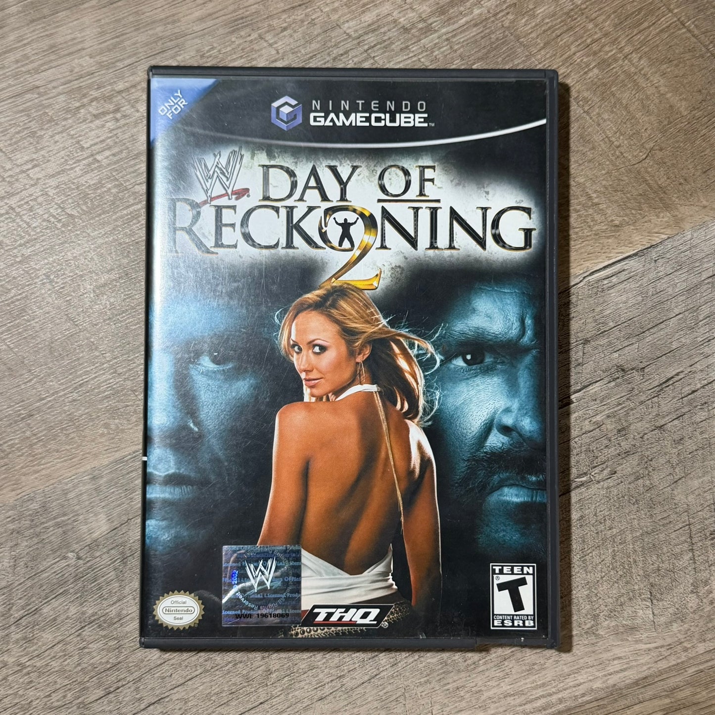 Day of Reckoning 2 (Nintendo GameCube)