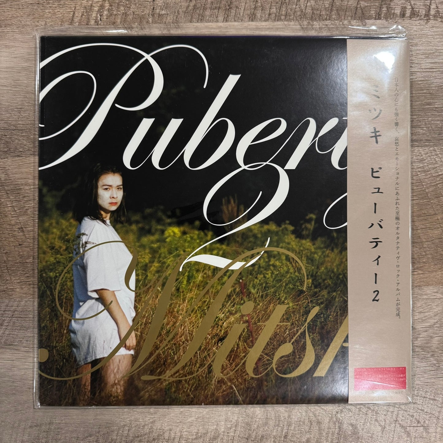 Mitski - Puberty 2