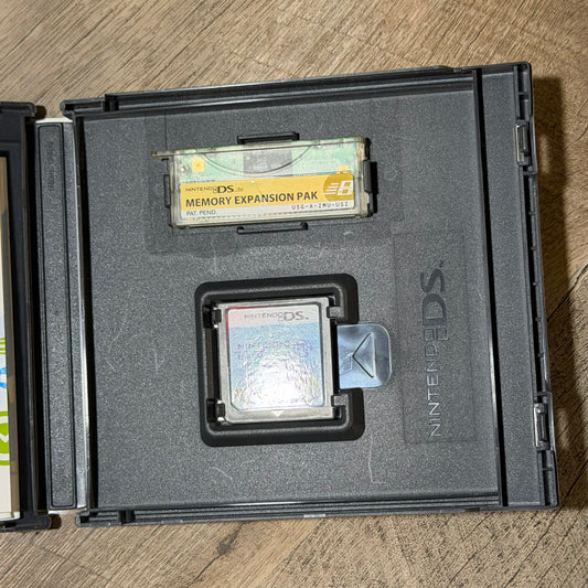 Nintendo DS Browser (Nintendo DS)