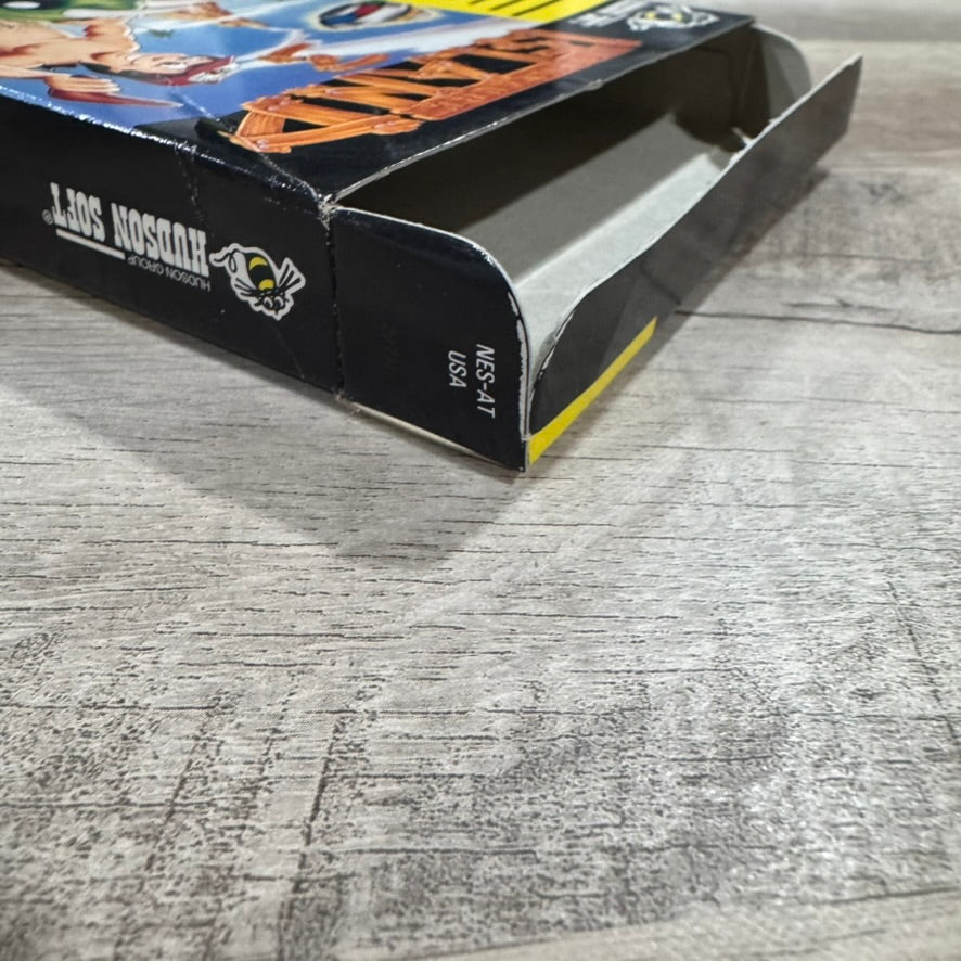 Adventure Island 3 (Nintendo Entertainment, NES 1992) BEAUTIFUL BOX & Foam ONLY!