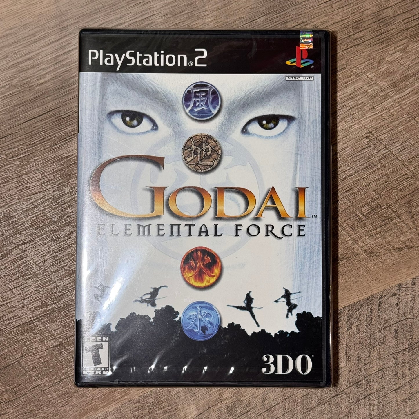Godai: Elemental Force (Sony Playstation 2, PS2)