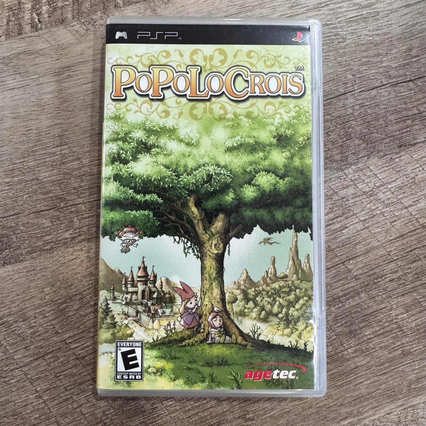 PoPoLoCrois (Sony Playstation Portable, PSP 2005)