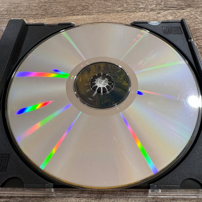 Vintage SkyNet PC CDROM Computer Game Bethesda Softworks DOS 1996 Terminator