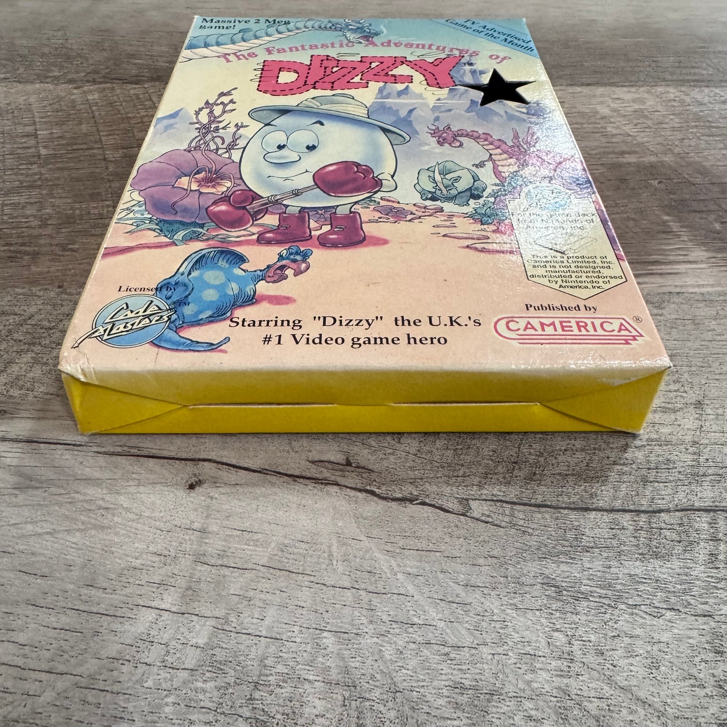 The Fantastic Adventures of Dizzy (Nintendo Entertainment System, NES)