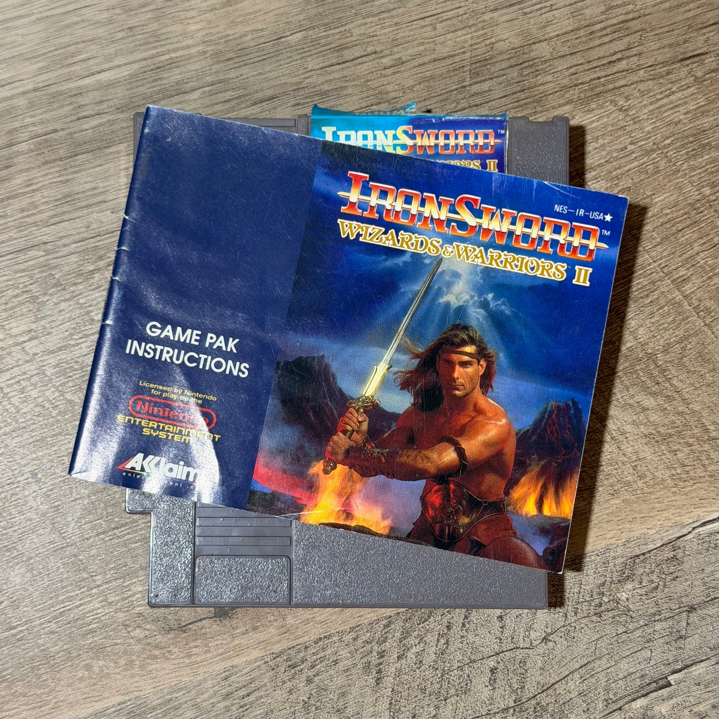 Iron Sword (Nintendo Entertainment System, NES)