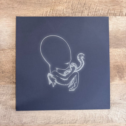 Sigor Ros - Agaetis Byrjun